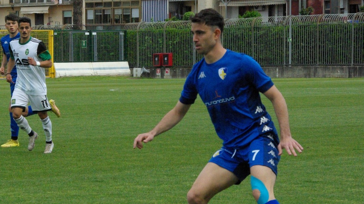 serie d live girone h