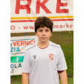 13 Dario Carlo Borrello