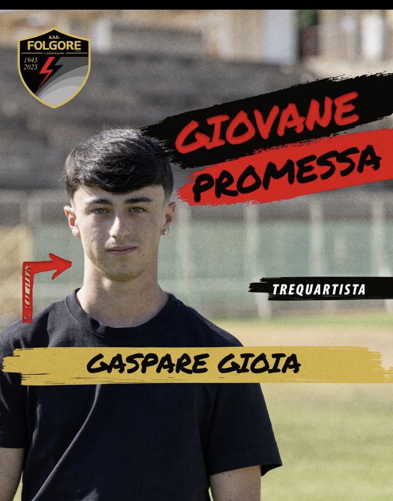 Scheda Giocatore G10023200 - Folgore Calcio Castelvetrano - Eccellenza ...