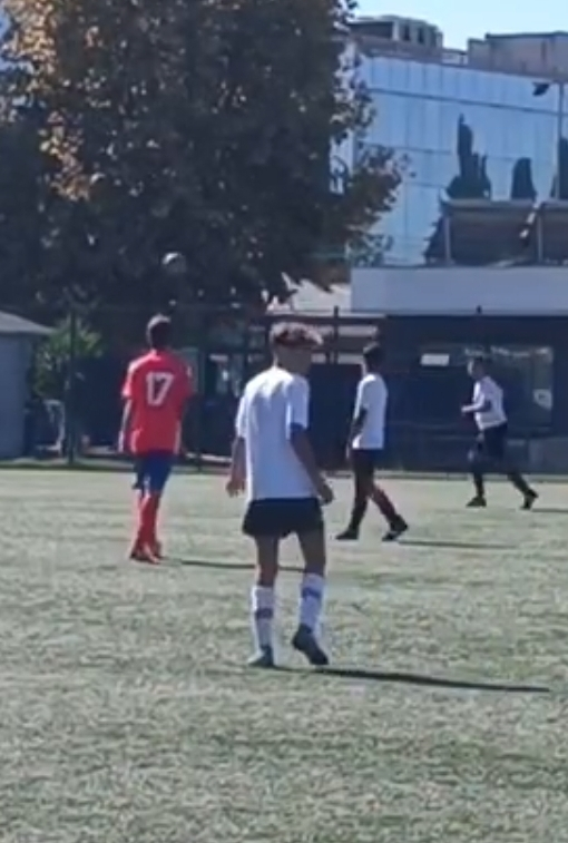 Immagine Baldazzi Leonardo