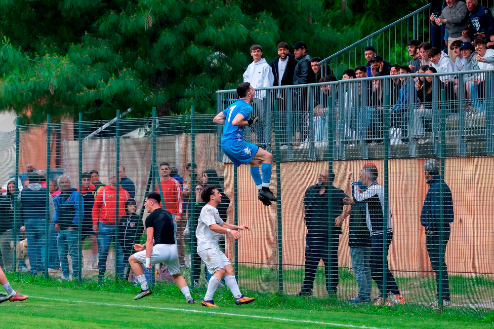 Immagine Ollari Michele