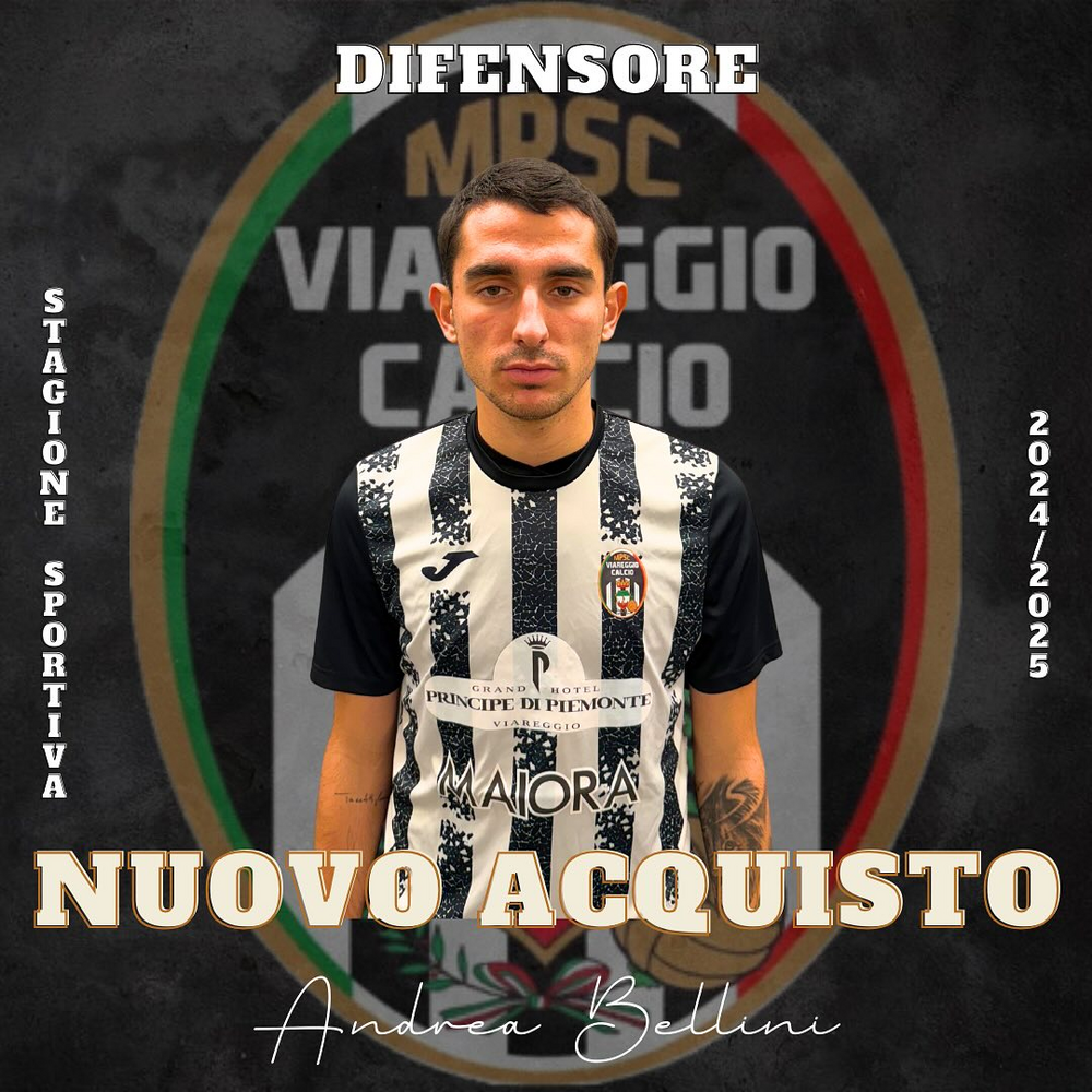 Carriera Giocatore G8561890 - Viareggio Calcio - Eccellenza Girone A ...