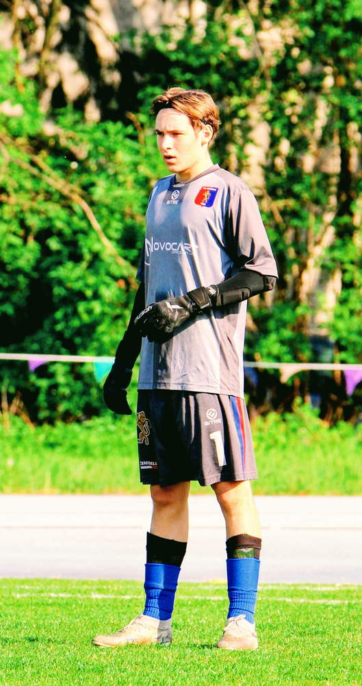 Immagine Stucchi Gabriele