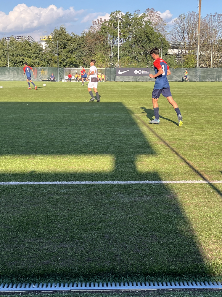 Immagine Mallardo Giulio