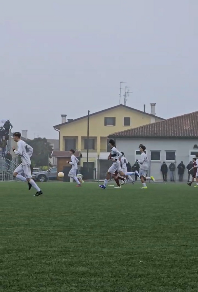 Immagine Salviato Alberto