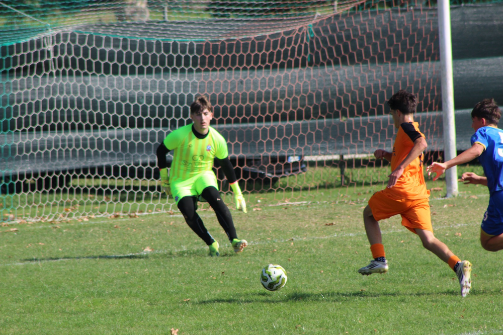 Immagine Naschetti Nicolò