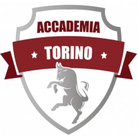 Accademia Torino Calcio Sq.c