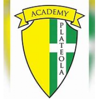 Academy Plateola 1911