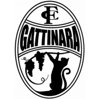 Gattinara F. C.