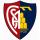 logo Aquila Montevarchi 1902