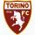 logo Torino