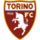 logo Torino