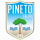 logo Pineto