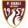 logo P. Carli Salviano