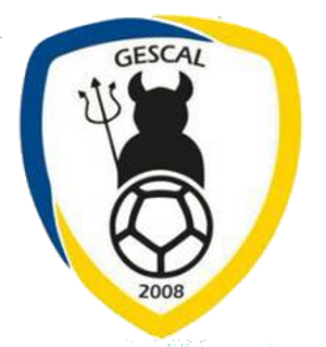 Scheda Gescal 2008 U17 - Allievi Provinciali U17 Napoli - Girone A Campania