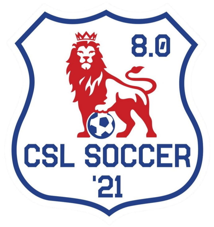 Scheda CSL Soccer 21 8.0 Terza Categoria Viterbo Girone Unico Lazio