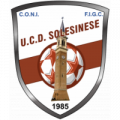 Solesinese