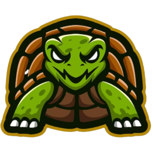 Rosa Turtles - Tornei Infinity Serie Pro 1 Summer Season 2025 Sicilia