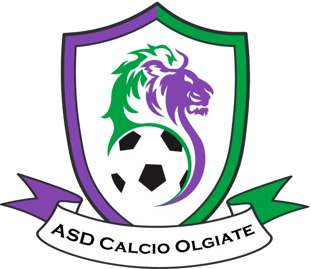Scheda Calcio Olgiate - Esordienti Misti 9c9 1 Divisione Varese ...