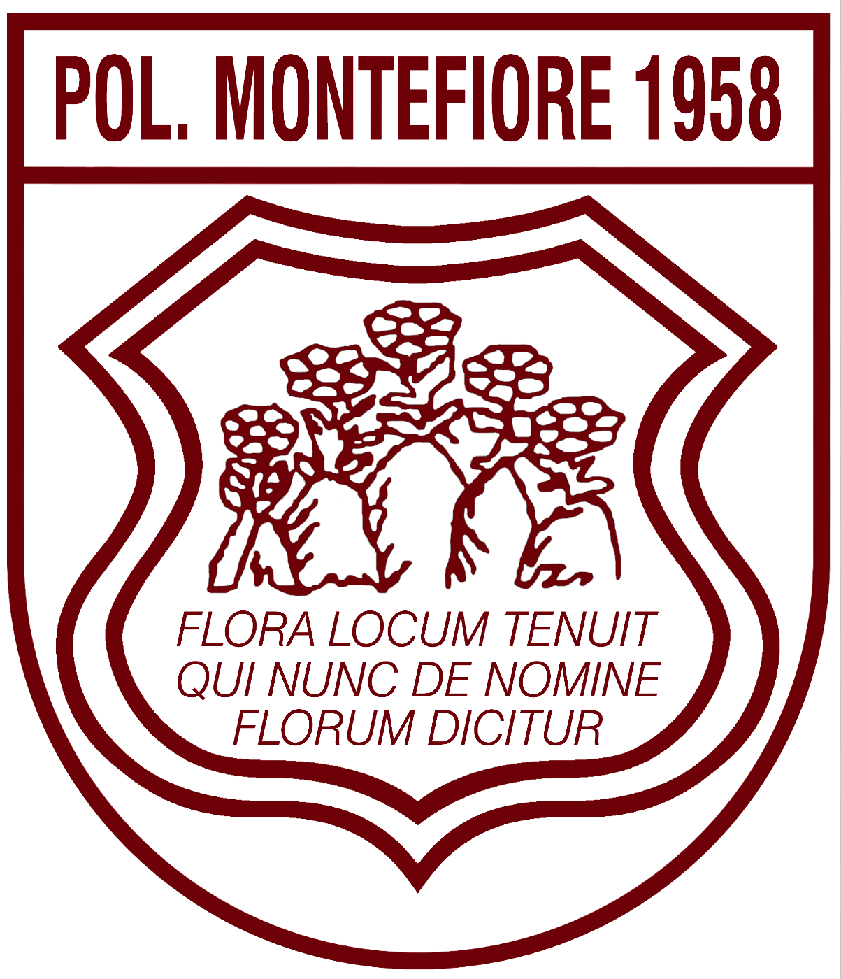 Rosa Montefiore - Seconda Categoria Girone G Marche - Tuttocampo.it